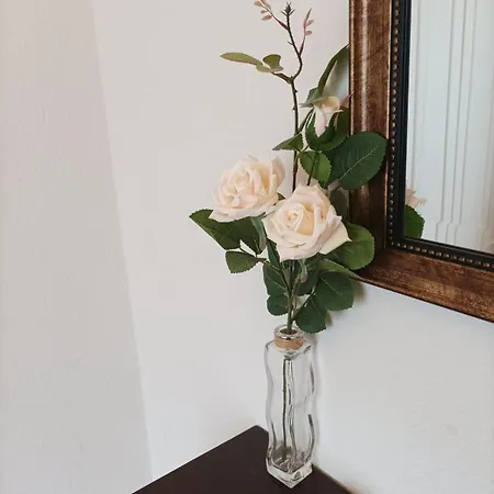 Pepper House Appartement