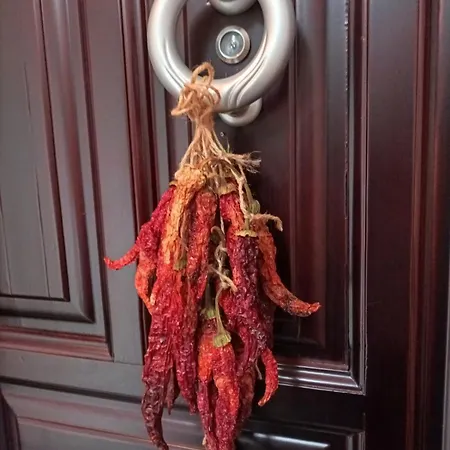 Appartement Pepper House Édessa