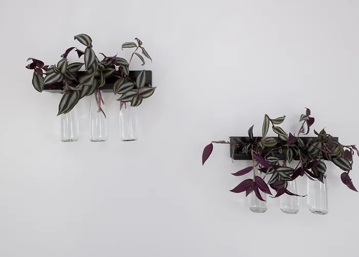 公寓 Pepper House *