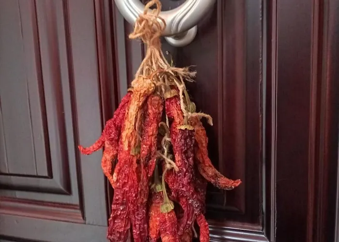 公寓 Pepper House 埃泽萨